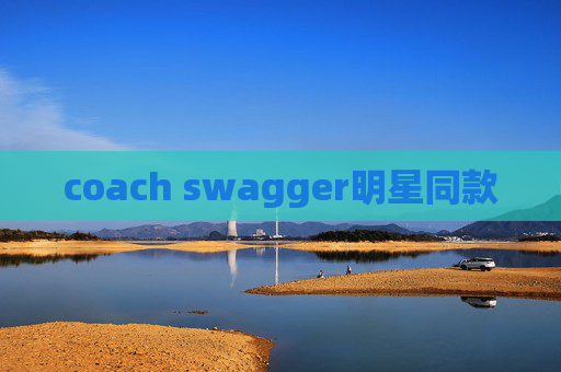 coach swagger明星同款